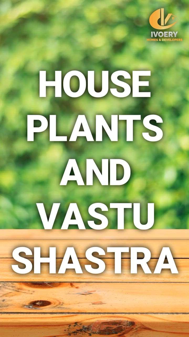 Plants for houses based on vasthu #vasthu_consultancy  #Architectural&Interior  #ContemporaryDesigns  #HomeAutomation  #ivoeryhomes and developers #trivandram  #kerala_home_design