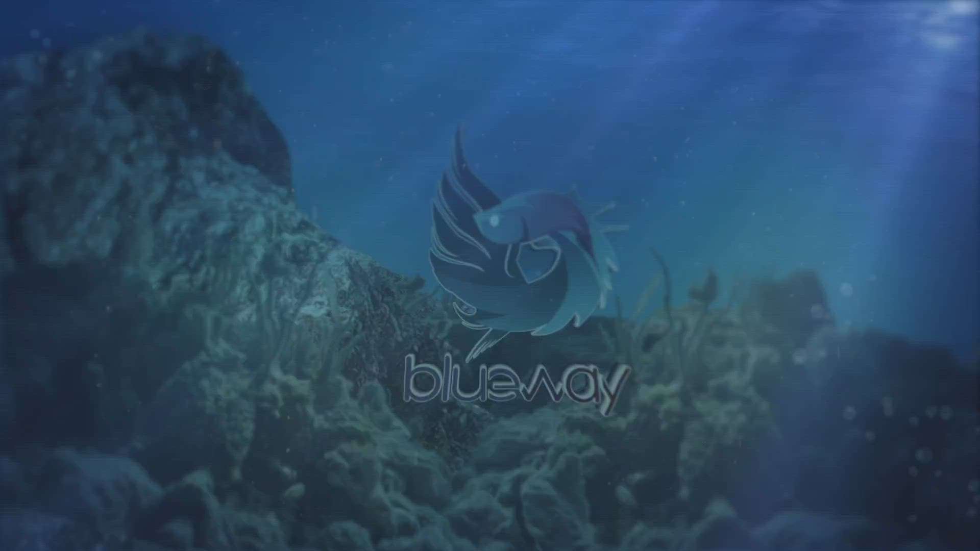 #aquarium #blueway  #marine #fishtank #mavelikara  #planted
