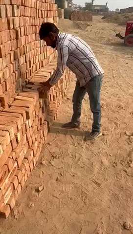 गंगानगर की पक्की लाल ईंट पूरे राजेस्थान में सप्लाई मार्केट से कम रेट मैं हमसे जुड़ने के लिए संपर्क करे 8769427999 #bricksdealer  #buildersinkerala  #jaipurdiaries  #jodhpur  #bikaner  #udaipur  #udaipurconstruction  #jaipurconstruction  #jodhpurconstruction
