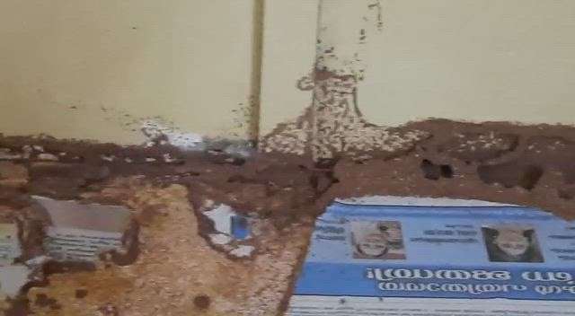 Termite Complaint @ Malappuram.
For Termite treatment call us @8089618518