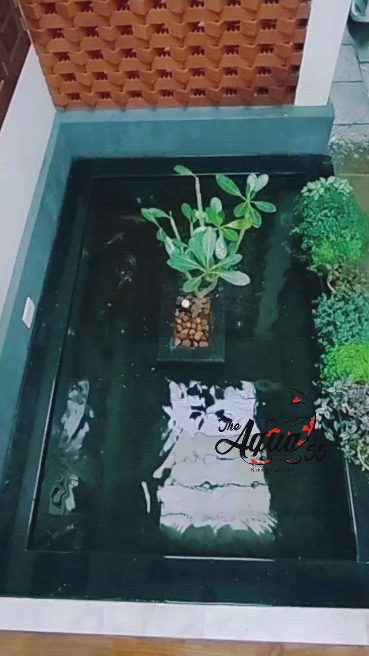 Japanese koi pond for our Kannur irutty client.  small setup for few fishes.
ring @ 8547483891  for more details
 #japanesekoi  #koipond  #koifish #koiponddesign #fish #waterbody #waterfeature #koicarp #indoorpond #outdoorpond