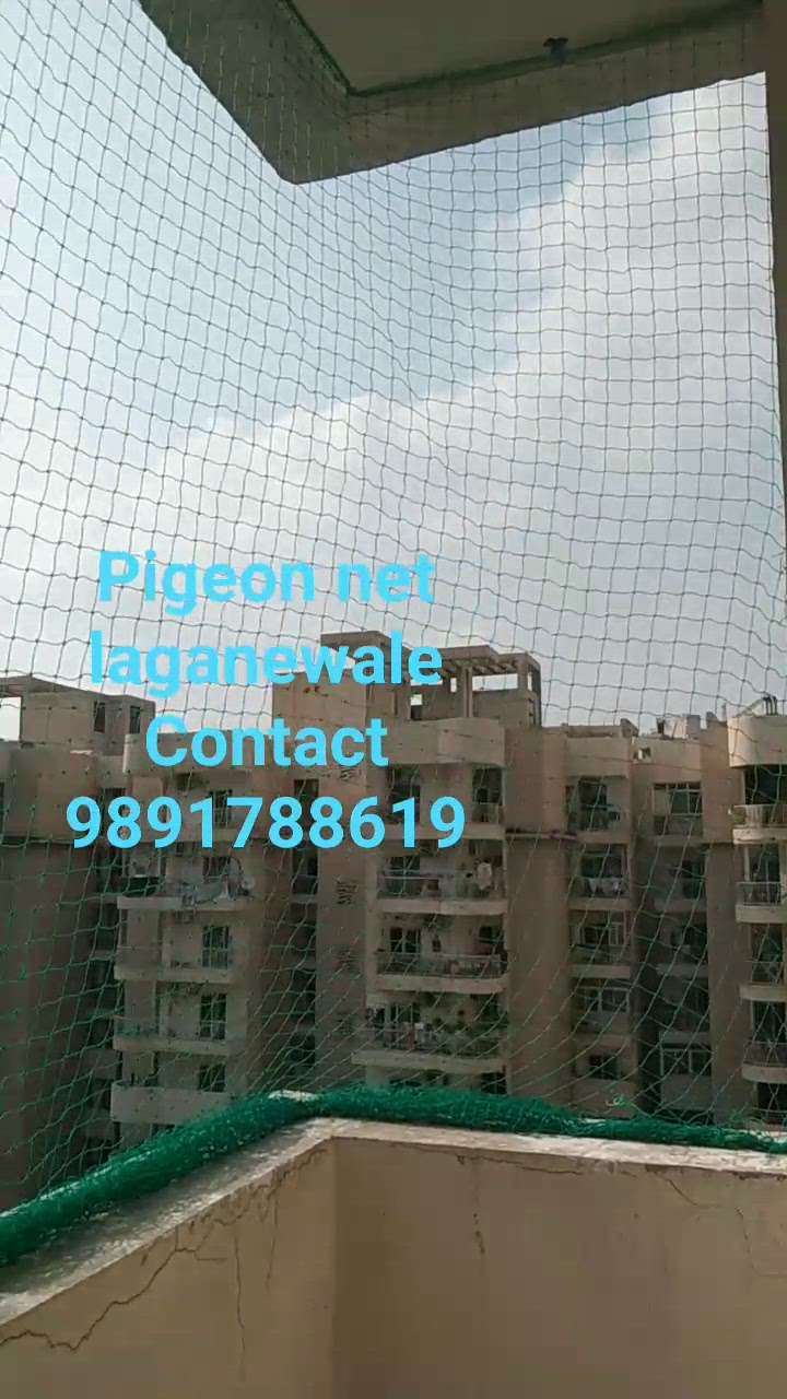 We Need to Talk About anti Bird net pigeon net //The anti Bird net pigeon net  Revolution is Coming// mayapuri delhi NCR Dharmendra Chick Maker