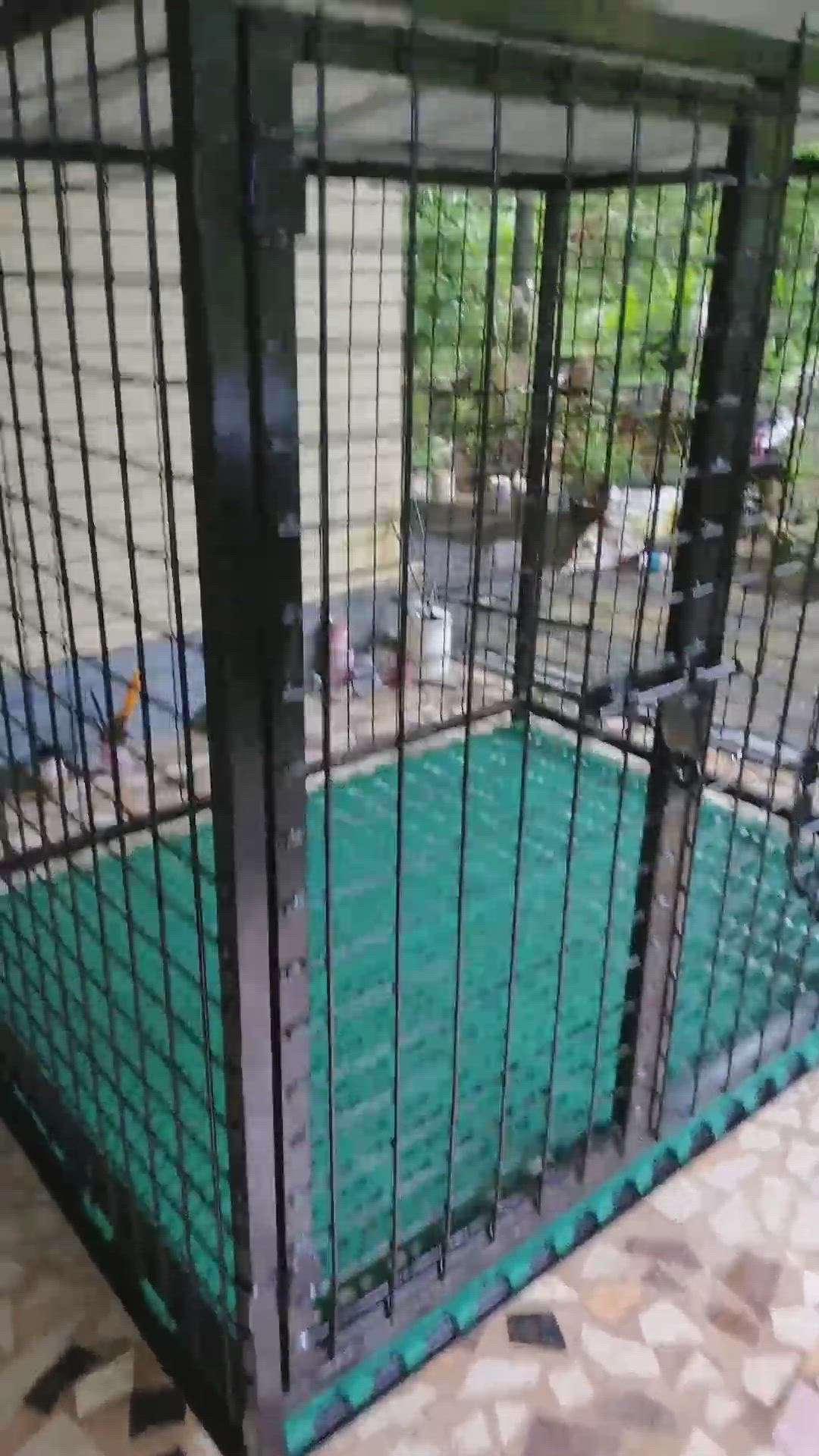 hightech dog cage kannur