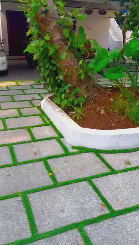 #gardening
#landscaping
#b4landscapingsolution
#KeralaStyleHouse
#keralastyle
#keralahomeplans
#HouseDesigns
#HomeAutomation
#SmallHouse
#MrHomeKerala
#ContemporaryHouse #keralaarchitectures  #keralahomedesignz