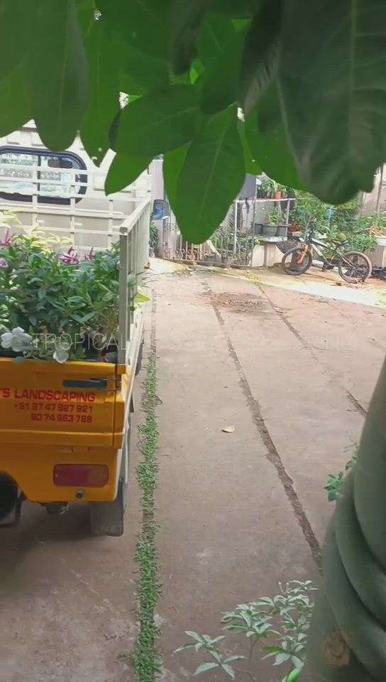 another session for the green wall and small garden#tropical roots landscaping, kochi