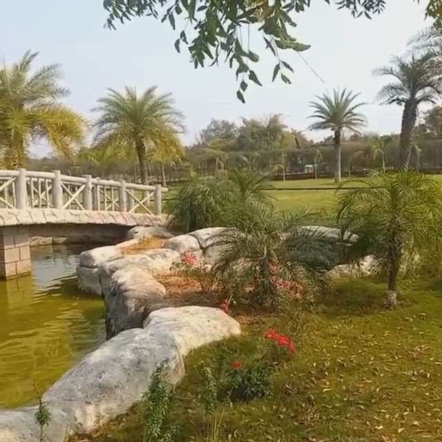 King of Karandla Resort at Umred Nagpur 

#concretedesign #cementartwork #ferrocement #gardendesign #gardenpond #gardenbridge #pondbridge
#concretebridge #nagpur #mirzabrotherscementdecoration