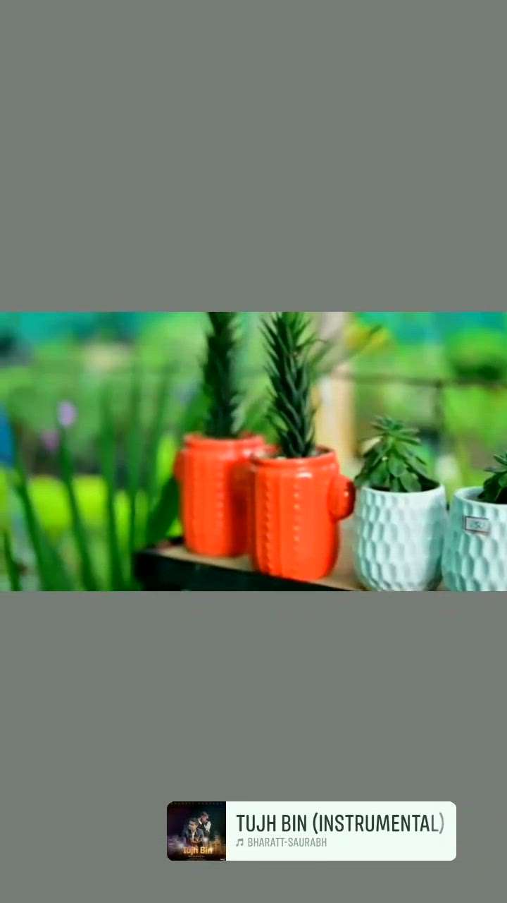 Indoor plants with ceramic pots #outdoorplant  #BalconyGarden
