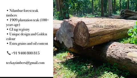 Nilambur Forest Teak Timber Logs
@teekaytimbers
#1909teakplantation
#1962teakplantation
#bettergrains #goldencolour #uniquedesign #oilcontent #GItagregistry