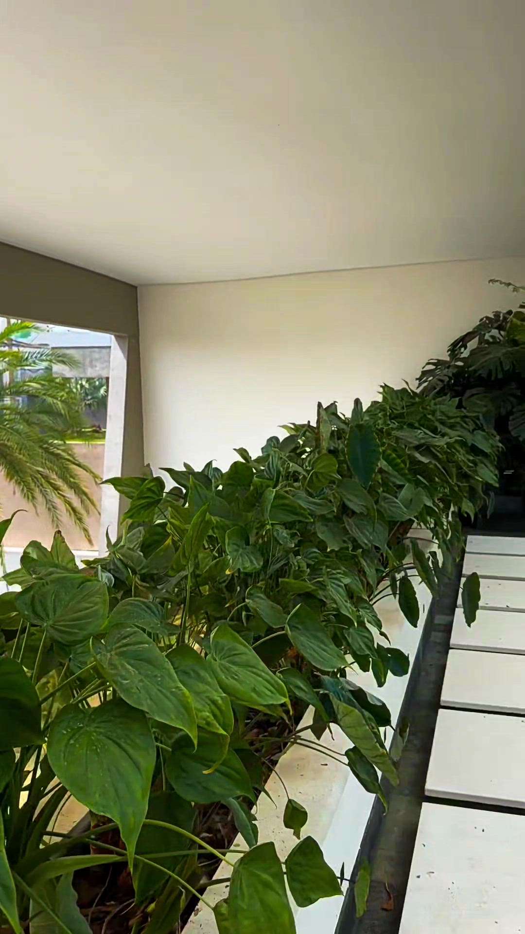 Roof top Garden be like..... #LandscapeIdeas #BalconyGarden #architecturedesigns #Architectural&Interior #artechdesign, #archkerala #engineeringlife #trendingdesign #IndoorPlants #landscapingforhouses