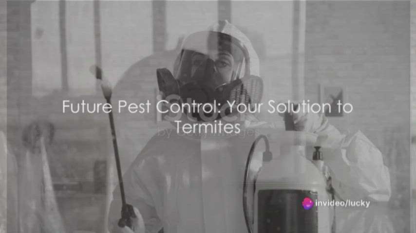 #pestcontrol #sk_pest #quicksure_pest_control #Anti-Termite #termite #termiteproof #constructio_termite_treatment #termitetreatment #futurepestcontrol #9746156450 #9846023621 #all_kerala #allkeralapestcontrol #lowbudgethousekerala #lowcost #cheaprate #professionals #quality #qualityhomes