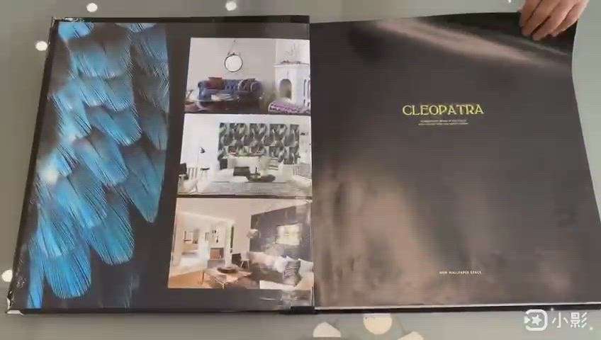 #Launching PVC Collection Premium Collection#
CLEOPATRA
 #InteriorDesigner  #WALL_PAPER  #Architectural&nterior  #Buildingconstruction
