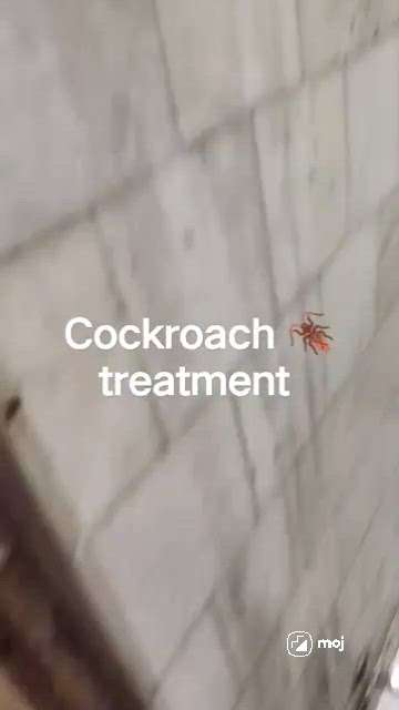 #cockroach treatment #