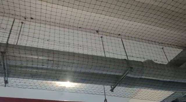 Bird proofing by Dominant..
Common car parking area..bird netting
for enquiries 8089618518