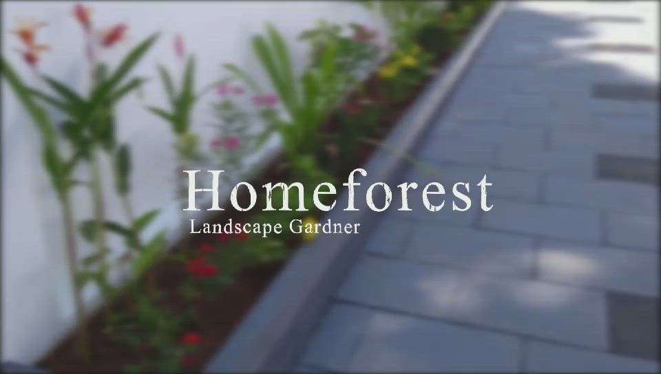 Landscaping Work at Thrissur
 
We used 300 plants for this site. #plants  #outdoorplant  #garden  #LandscapeGarden  #beautification #flowerplants  #Thrissur
 #kerala #Landscapedesign #Homeforest