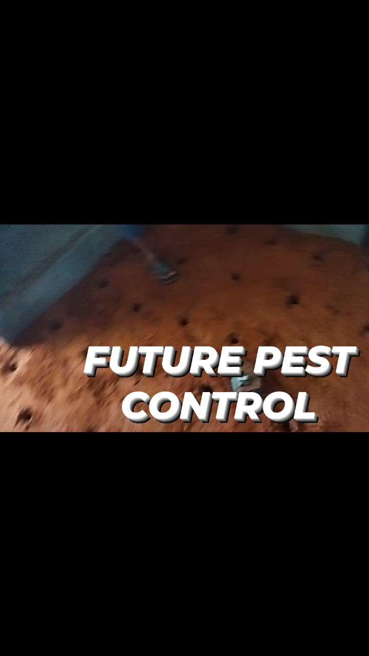 #antitermitetreatment #antitermite #termaite #termitecontrol #constructio_termite_treatment #futurepestcontrol #pestcontrol #sk_pest #quicksure_pest_control #pestcontrolservices #pestalcolortheme #pestmanagement #9746156450 #9846023621