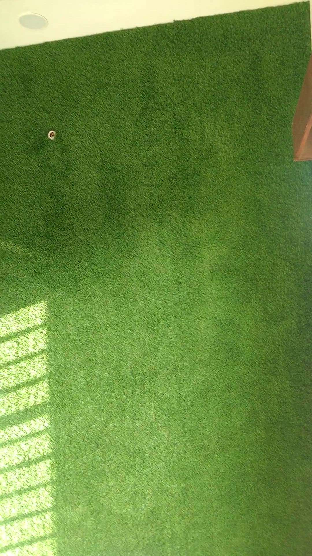 Artificial Grass with cutting edge works #NVD #messi