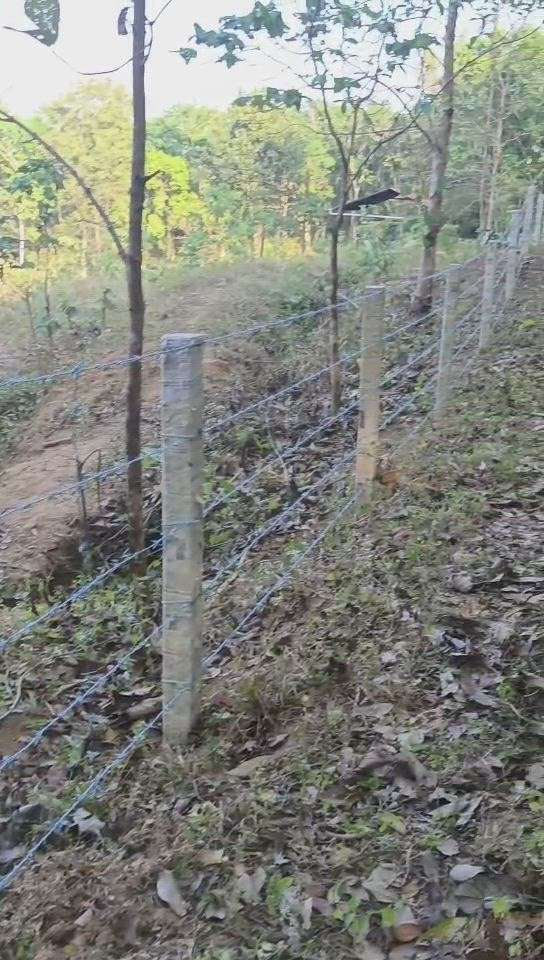TATA Ayush Barbed wire fencing.
Thrissur #fencings  #cheyinling net #slabewall