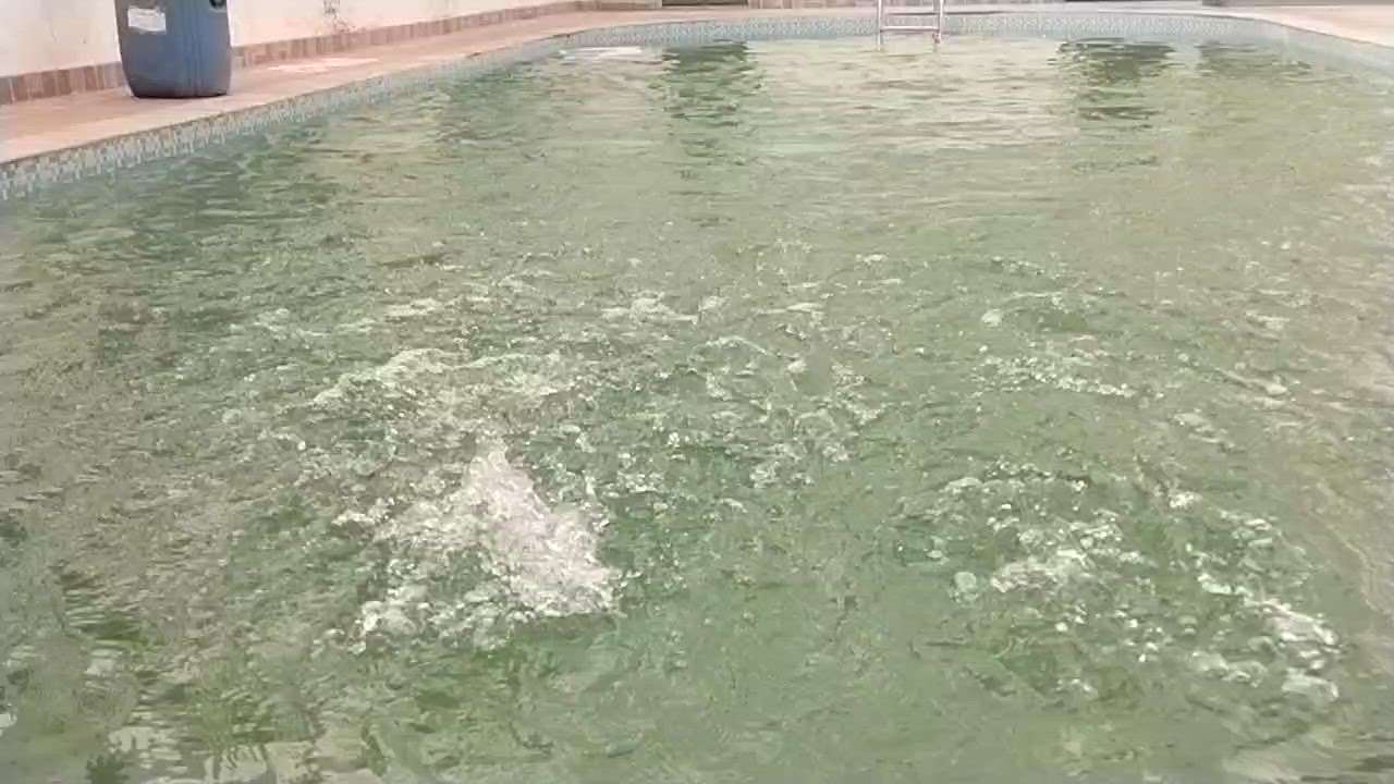 wave pool
zamtech fountain