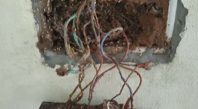 work Site diary
Termite Complaint @Alappuzha
For queries call us @8089618518
service available at all Kerala level #termitecontrol