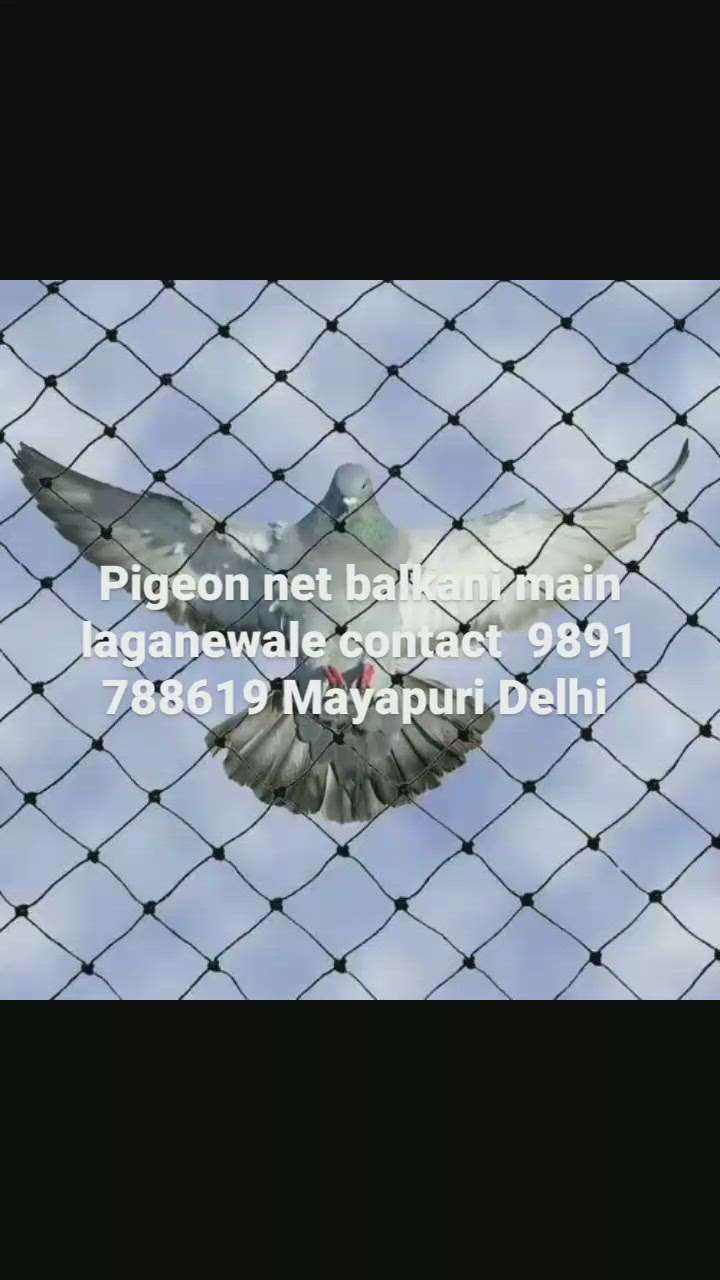 pigeon net laganewale contact number 9891 788619 Mayapuri Delhi