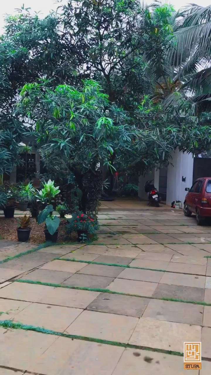 #Stupacalicut #architecturedesigns #Architect #greencaplandscape #fruitsplants #pavingstones #greenery #KeralaStyleHouse #ContemporaryHouse #keralamuralpainting