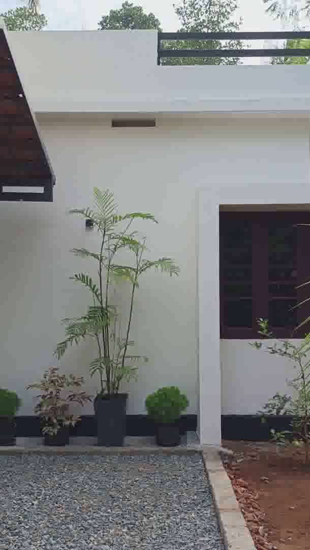 Recently completed design consulting project 📍 Thrissur  #HouseDesigns  #Architectural&Interior  #Thrissur  #naturefriendly  #courtyardhouse  #fishtank  #sequoia_architects