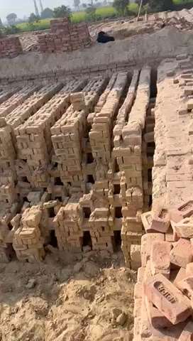 gगंगानगर की लाल पक्की ईंट मार्केट से कम रेट में ऑल राजस्थान सप्लाई चैन रेट 6800 contact number 8769427999 #bricks  #bricks  #builderflatinvasantkunj  #jaipur  #joinery