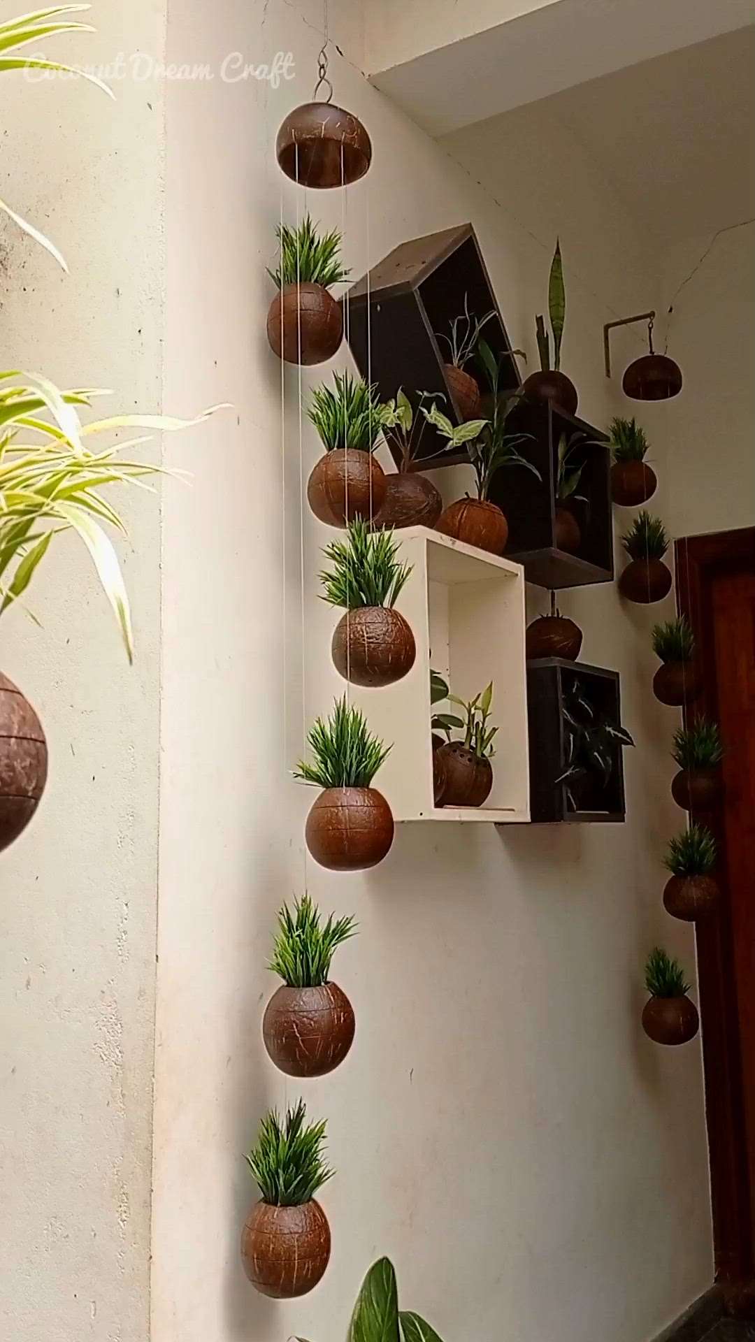 Spiral hanging planter set out of coconut...

Hello sir/ma'am...

We are the manufacturers of coconut traditional lights and other utensils,decors for life time use... Coconut shell is a non-degradable raw material so we promise life time guarantee for all stuff...

We having high standard and exclusive products for resorts, hotels, home interior and reselling... 

Coconut Dream Craft
Ph:9947687474