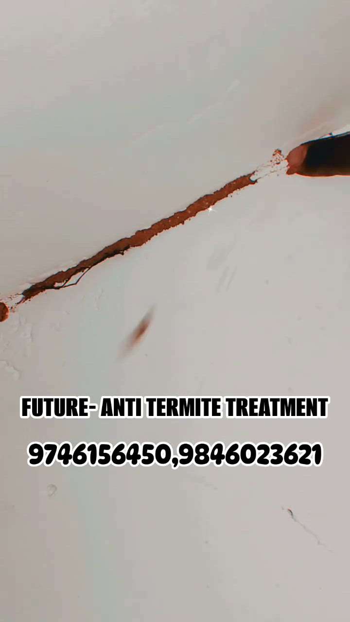 Termite problem!!!🥵
Dont worry anti termite treatment is the best option to overcome the problem.. We provide treatment in all kerala 🤝
call us now or whatsapp us :- 9746156450
#all kerala #pest control #termites #termite damage #future #futurepestcontrol #allkeralapestcontrol #pest kerala #low cost  #High_Quality