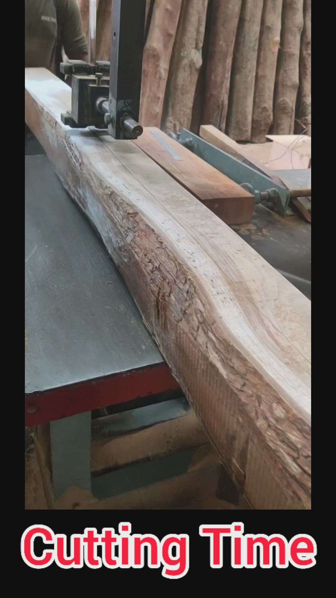We are cutting logs in nangloi Delhi and we can provide you any size in teakwood, Moulding, margins, corners and tapper also available.

Know more 👉 7065161065 Vipin Thakur #shribhikshutimbers #timber #wood #plantationteakwood #naturalteak #teak #frames #construction #lumber #doors #chukhat #windows #architecture #architect #buildings #cutesizeinteakwood #interiordesigner #interior #kitchen #builder #gurugramcity #dlf #furnitureteakwood #frames #furnituremaker #India #Delhi #delhincr #Indianwood #ivorycoastteak #sudanteak #cpnagpurteak #Africa #Africateakwood #doors #windows #frames #material #contractors
