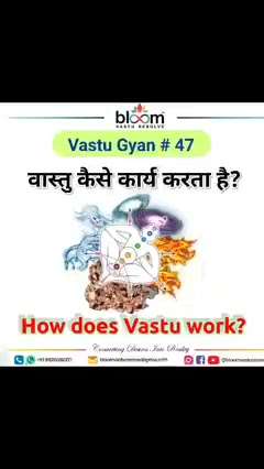 Your queries and comments are always welcome.
For more Vastu please follow @bloomvasturesolve
on YouTube, Instagram & Facebook
.
.
For personal consultation, feel free to contact certified MahaVastu Expert through
M - 9826592271
Or
bloomvasturesolve@gmail.com

#vastu 
#mahavastu #mahavastuexpert
#bloomvasturesolve
#vastuforhome
#vastuforhealth
#vastureels
#entrance
#toilet
#kitchen