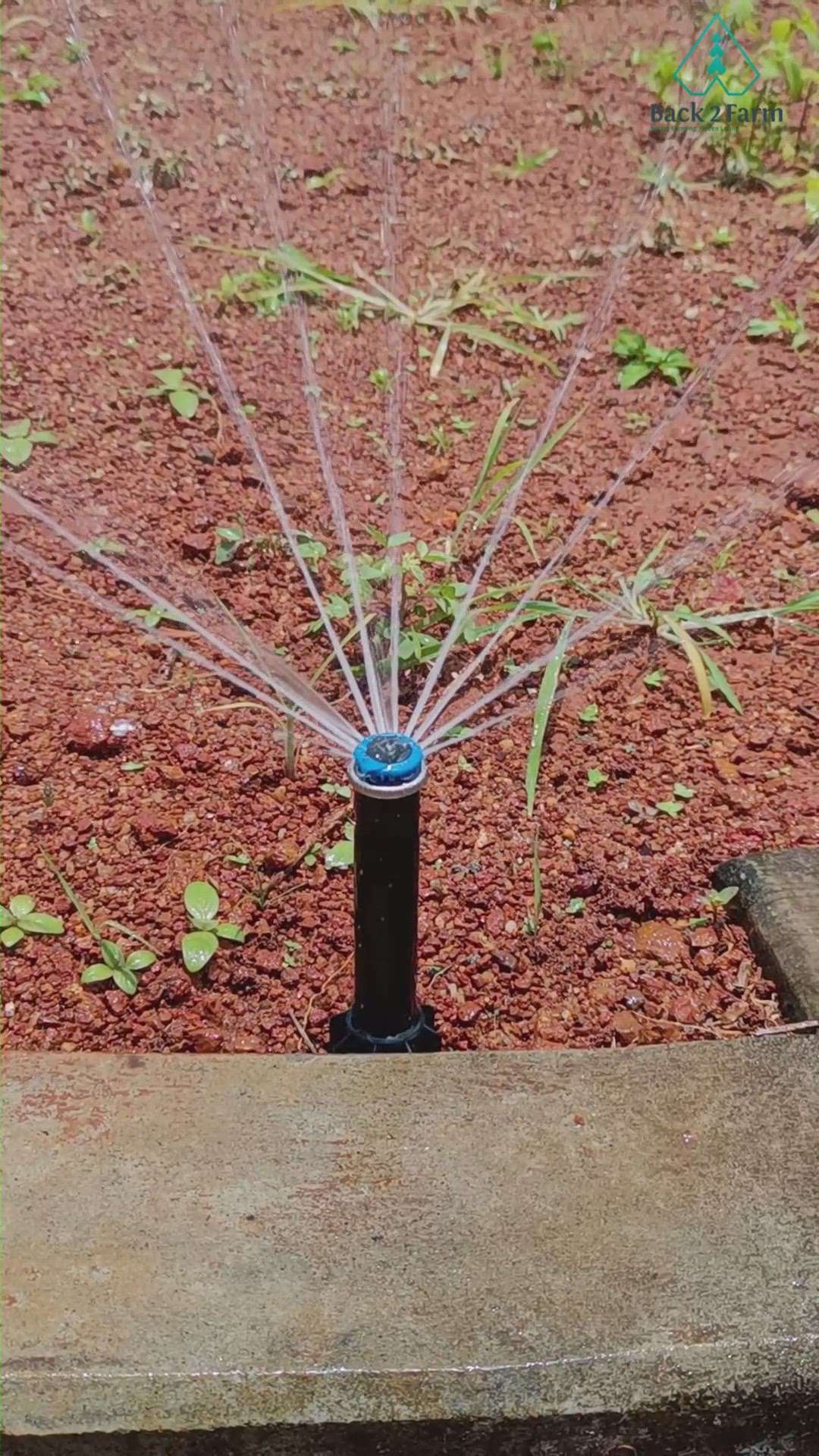 Sprinklers can be used to water your plants or your lawns.Notice how the sprinklers can be set to  water only the portions we need . #LandscapeDesign #irrigation #plants #sprinkler #sustainableliving #farming #garden