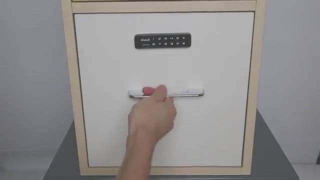 Cabinet Lock 3.0