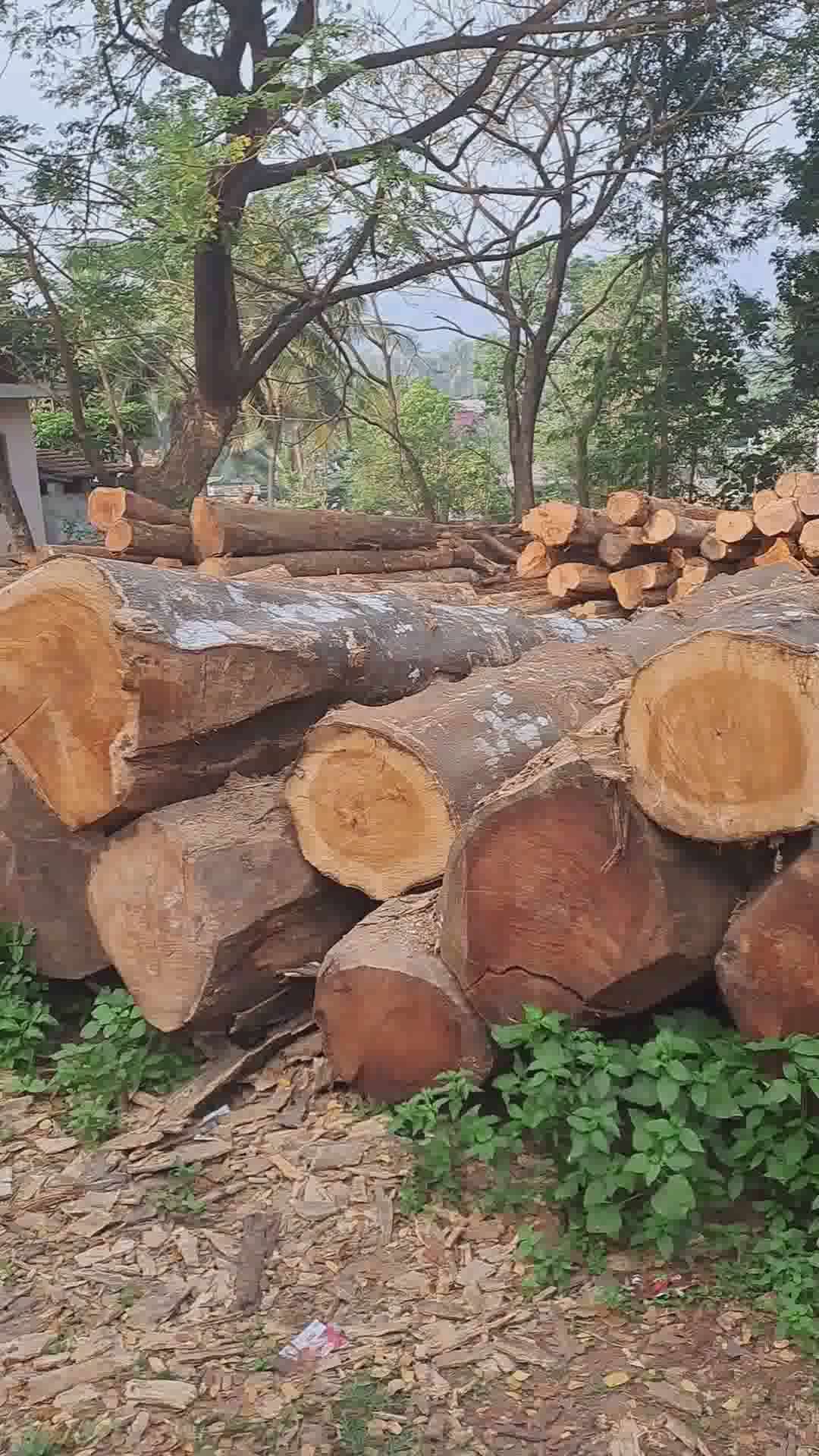 wood log 
 #teakwood
