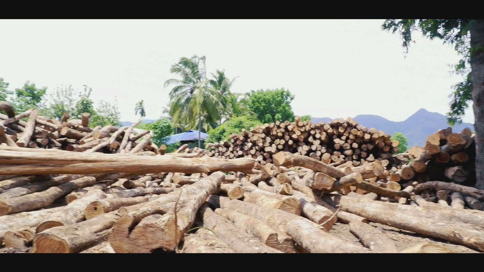 #allkeralaconstruction  #Carpenter  #HouseConstruction  #construction_company_alappuzha #TeakWoodDoors  #WoodenWindows  #Woodendoor  #WoodenFlooring