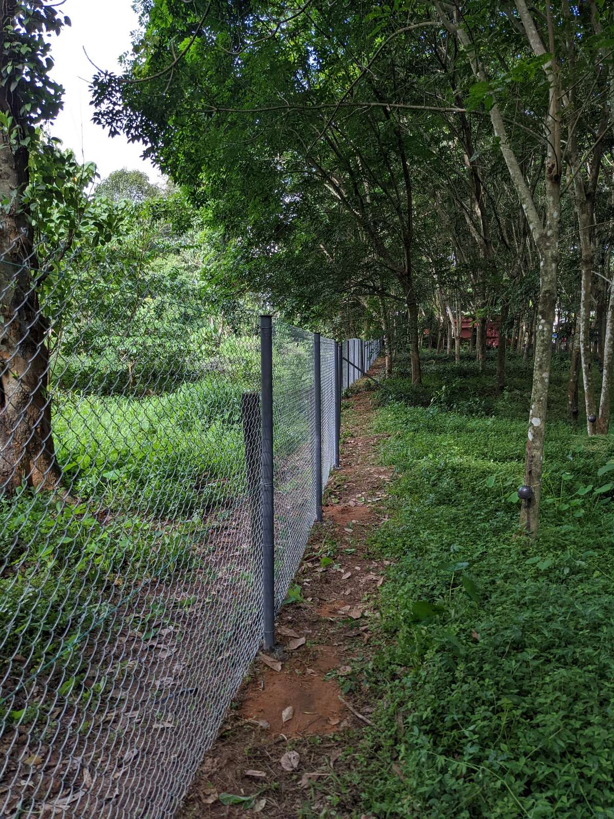 Designs by Service Provider Quick Fence, Thrissur Kolo