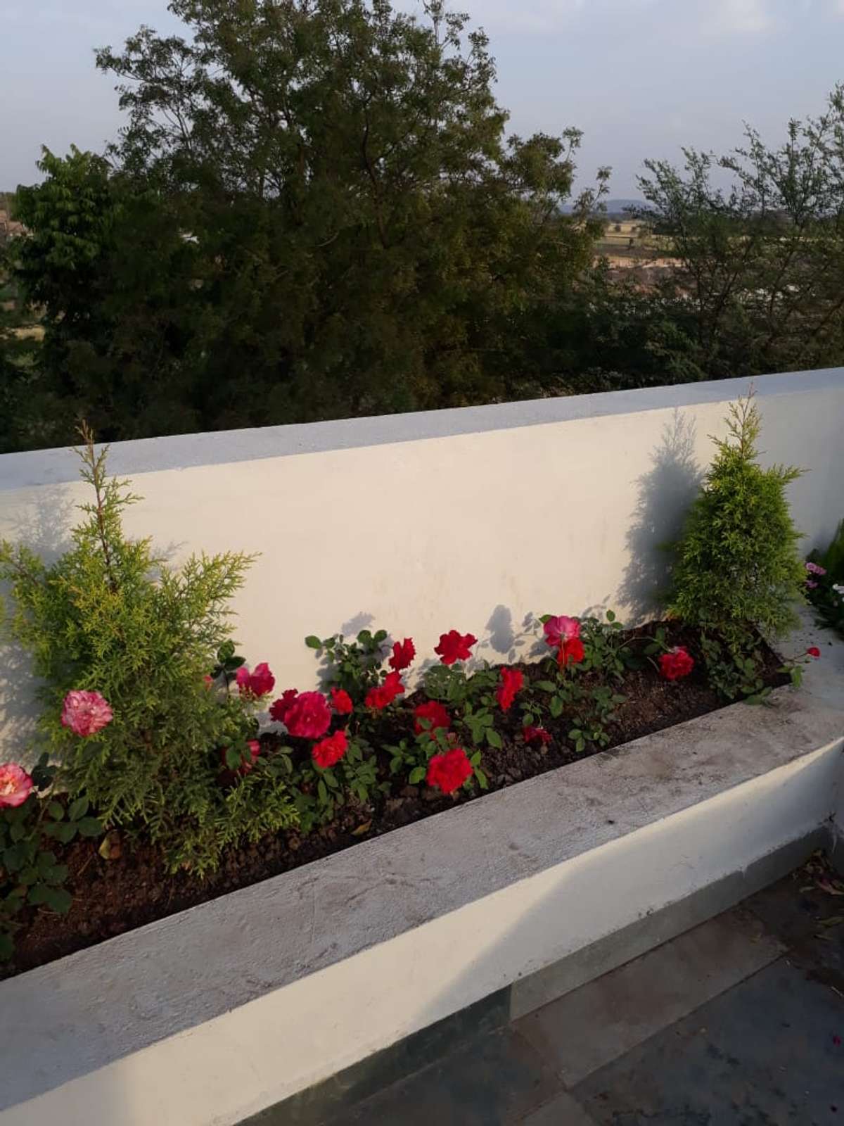 Designs by Gardening & Landscaping AKASH KOTHARI, Indore | Kolo