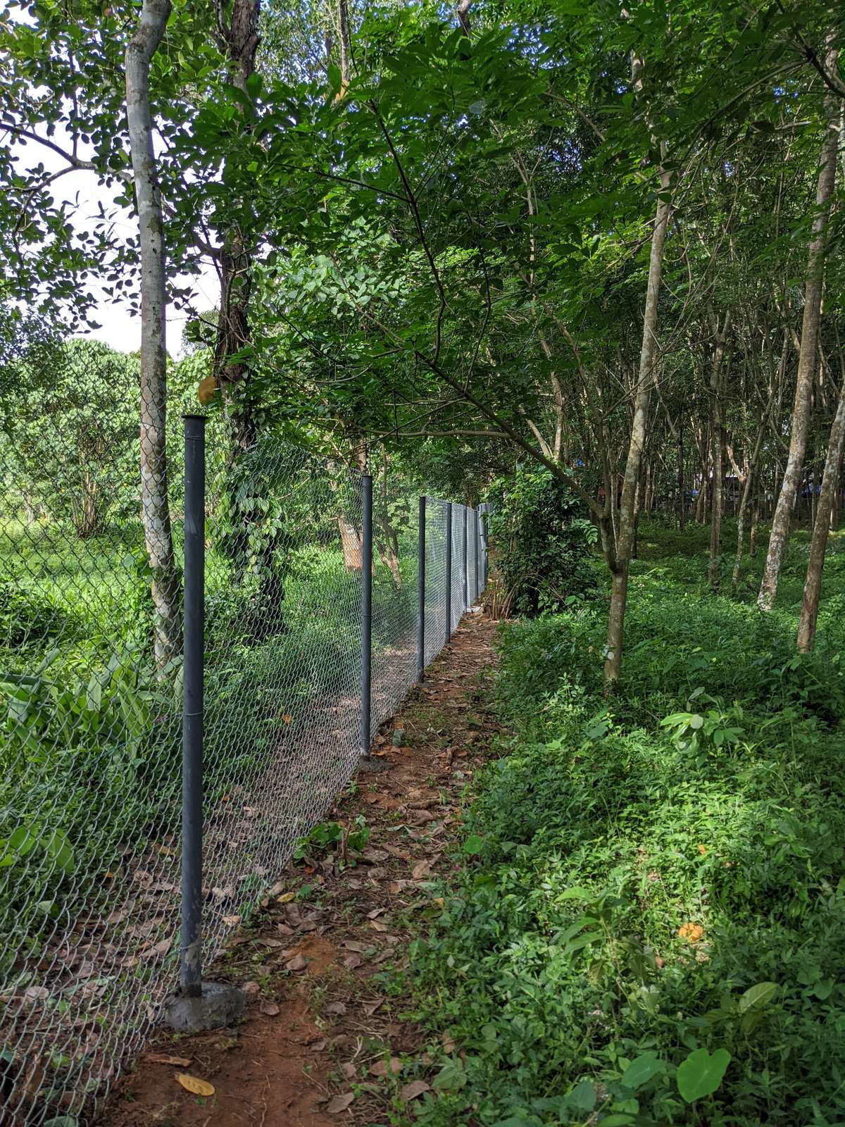Designs by Service Provider Quick Fence, Thrissur Kolo