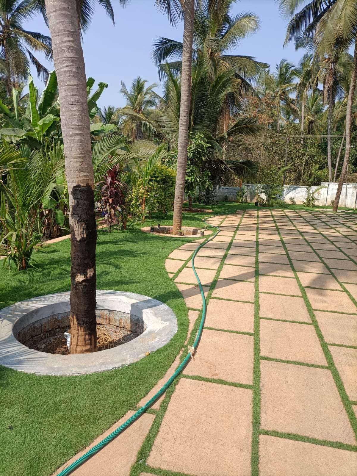 Designs by Gardening & Landscaping Amal poovam Amal poovam, Kannur | Kolo