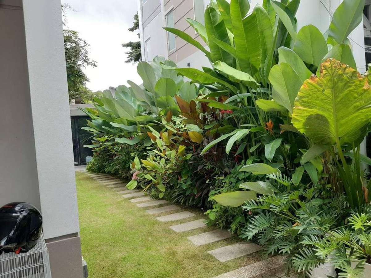 Designs by Gardening & Landscaping Benny James, Kottayam Kolo