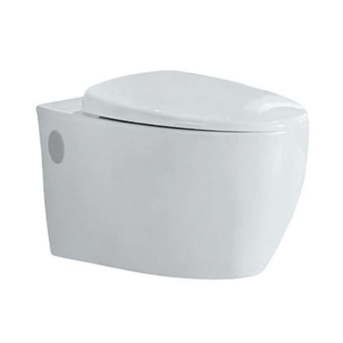 Jaquar Oval Shaped Rimless Wall Hung WC VGSWHT 81953UF