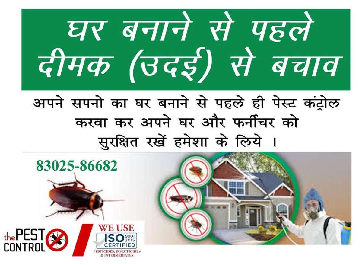 Designs by Contractor Pest Control Services, Jodhpur | Kolo