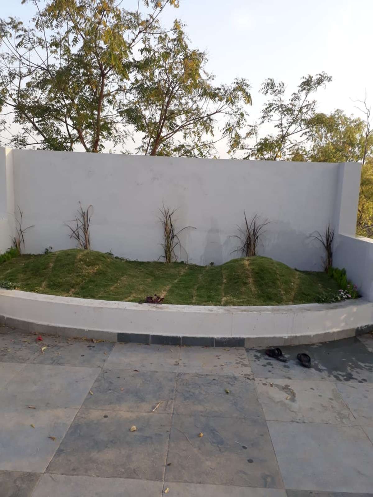 Designs by Gardening & Landscaping AKASH KOTHARI, Indore | Kolo