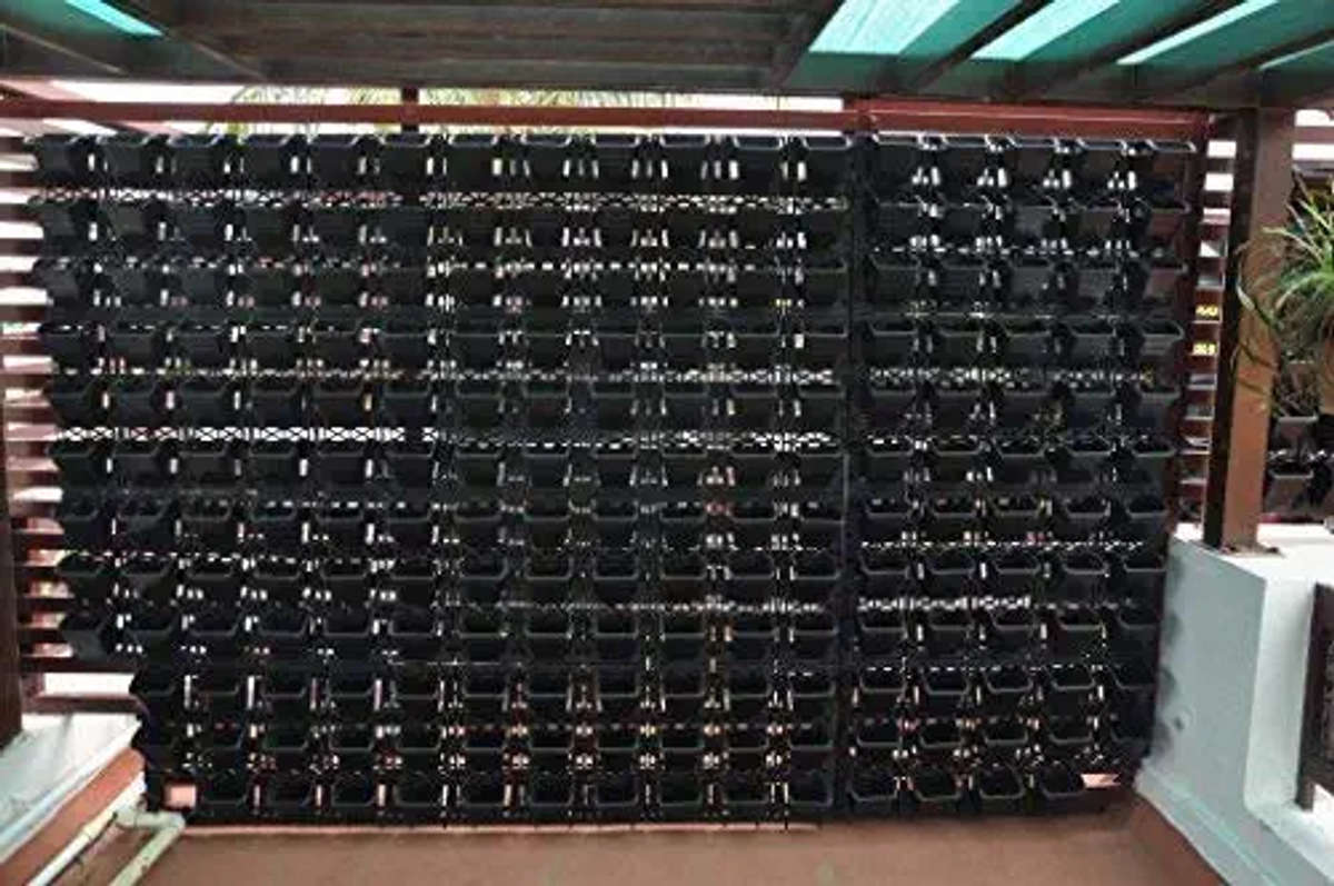 Designs by Gardening & Landscaping santu paru, Delhi Kolo