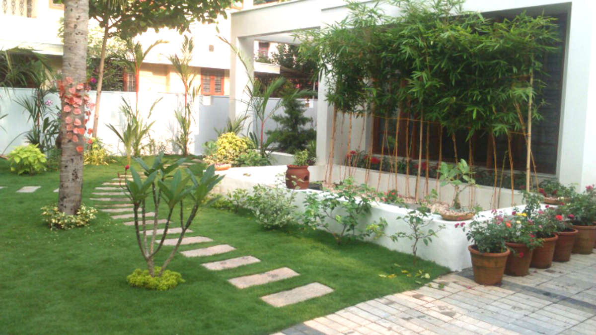 Designs by Gardening & Landscaping Reji RR, Thiruvananthapuram | Kolo