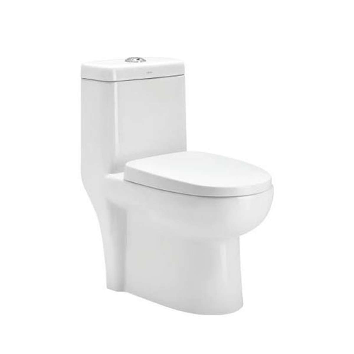 Parryware Floor Mounted White 1 Piece Wc Omega Omega With S-Trap- C8906