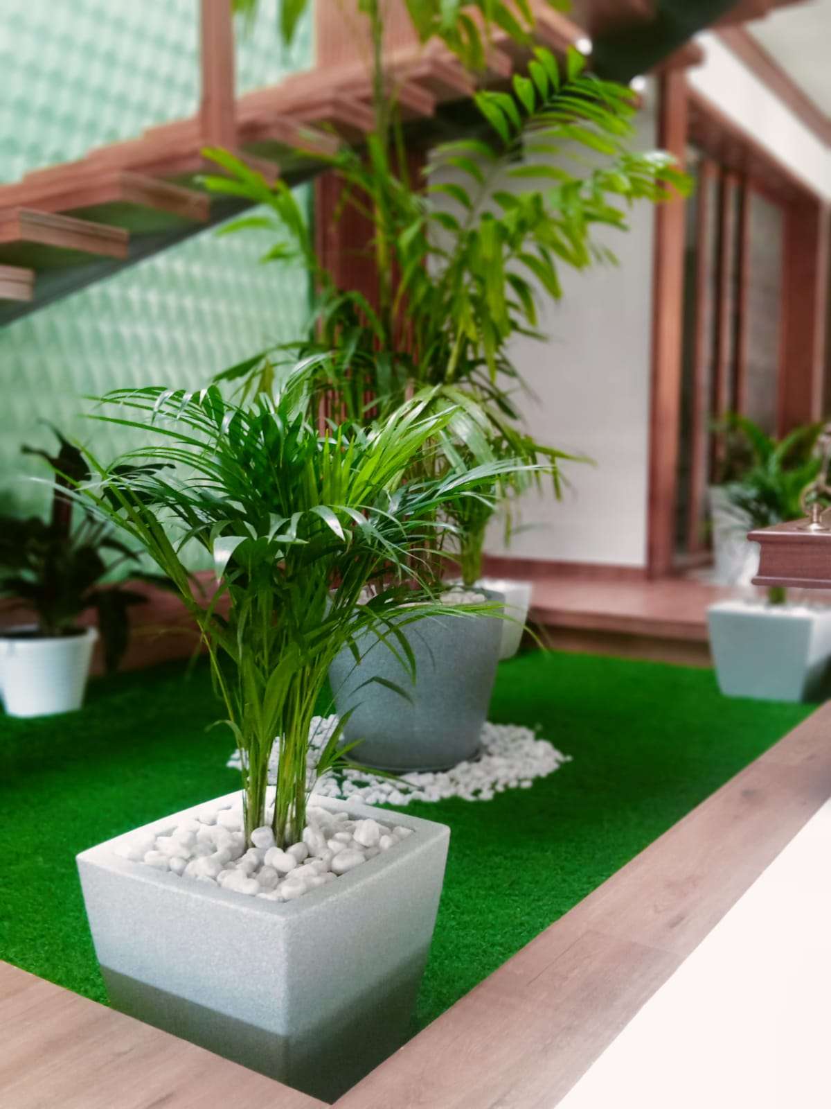 Designs by Gardening & Landscaping Green Landscaping, Ernakulam | Kolo