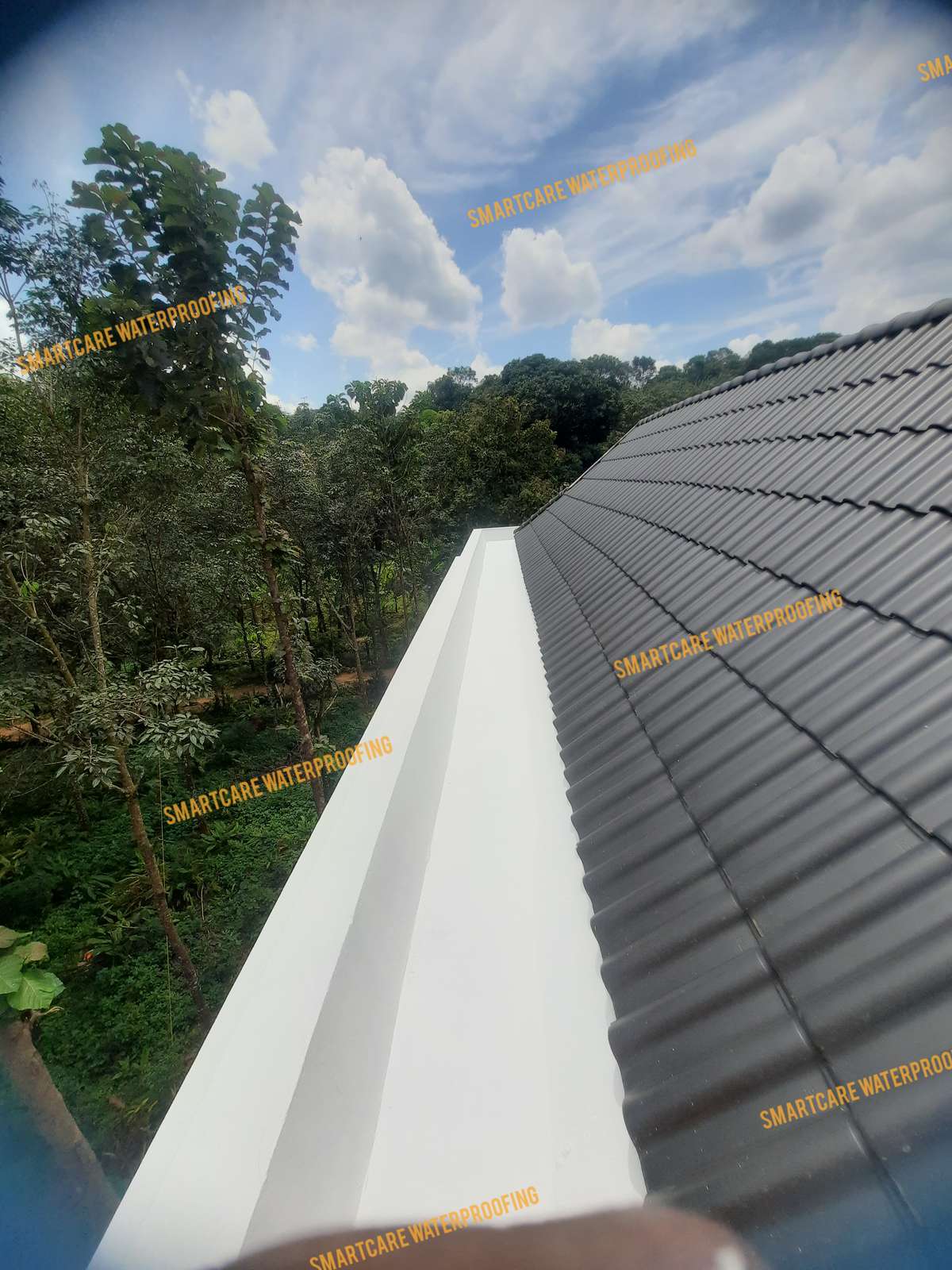 Designs by Water Proofing Smartcare waterproofing, Kottayam | Kolo