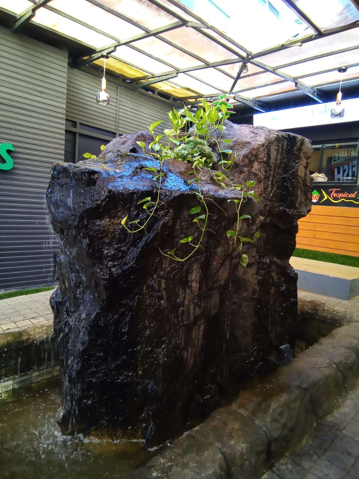 Designs by Gardening & Landscaping sumesh cherthala sarovaram, Alappuzha | Kolo