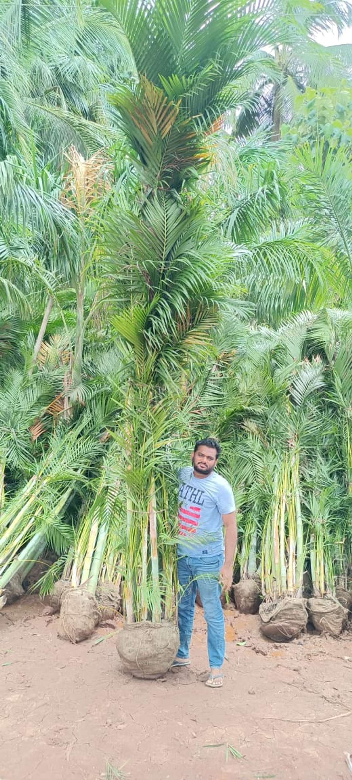 Designs by Gardening & Landscaping NIZAR FATHIMA FATHIMA NATURAL STONES